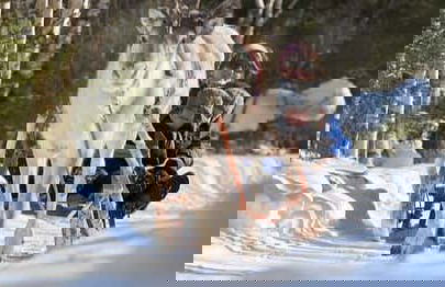 Balade en traîneau tiré par des rennes - Photo 4