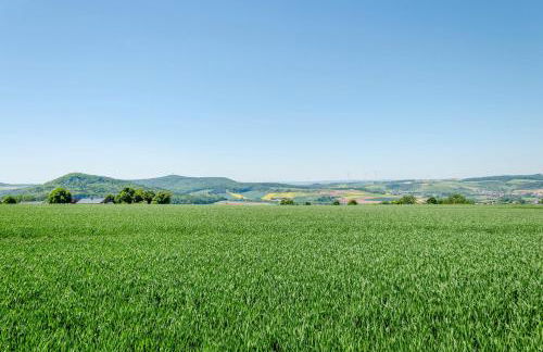 Ferienwohnung Landleben - Foto 32