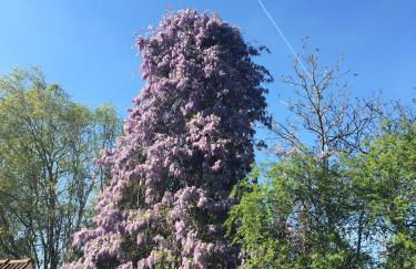 Beautiful French mansion Perigord Dordogne Lascaux - Foto 17