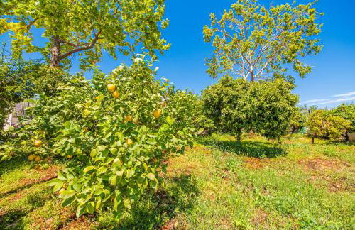 KrinesGReece - Foto 50