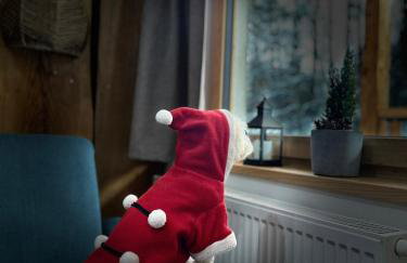 Domki Zew Natury - Foto 43