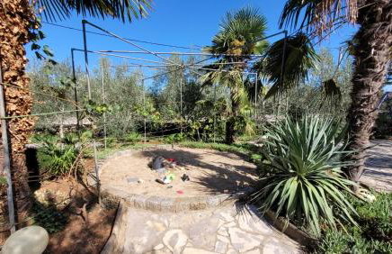 Apartmani Ljubica - Foto 5