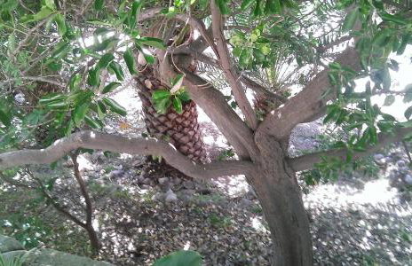 Holiday Home Shangri-La - Photo 72