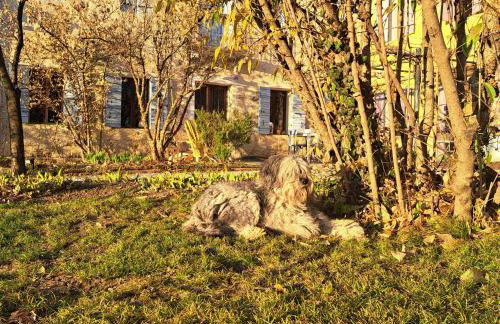 Casadesergio - Photo 67