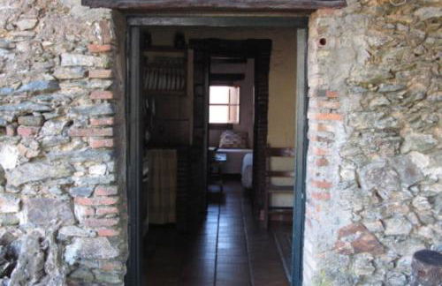 Pozuelo 1 JABUGO - Foto 2