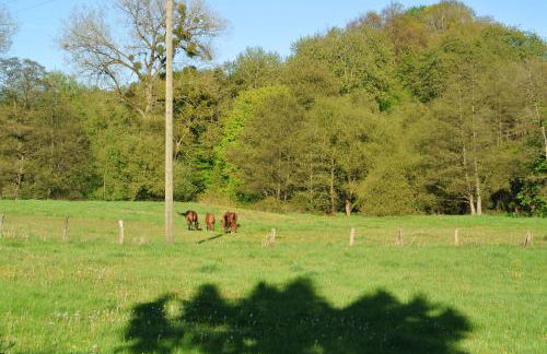 Ferienwohnung zur Mühle - Foto 65