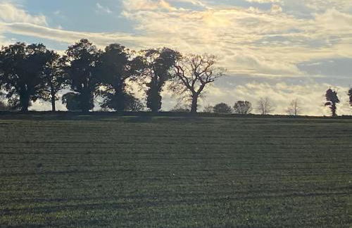 2 Brickground Broads getaway for the whole family - Foto 19