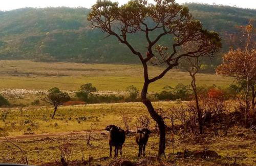 Villa Ágape - Chapada dos Veadeiros - Foto 32