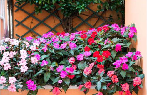 Casa Nova - Photo 54