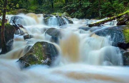 Haus Ilsegarten - Foto 27