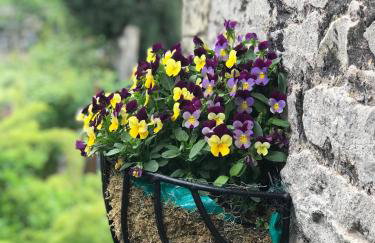 Swallows Nest - Foto 20