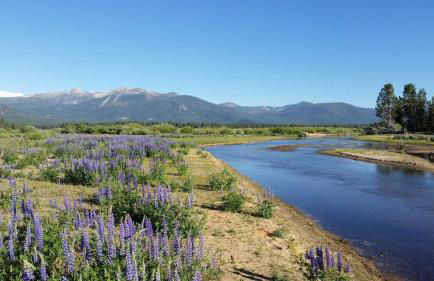 Lakeland Village #110 - Foto 54