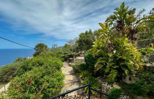 Vinya del mar - Foto 30