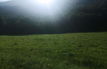 APARTAMENT BETTY - Foto 23