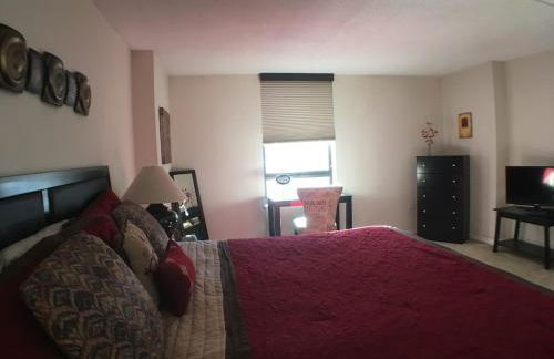 Brooks Tower Downtown Denver Furnished Apartment - Foto 10