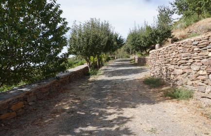 Cortijos Rey Fini - Foto 53