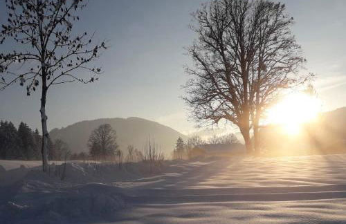 s‘Fleckerl - Foto 28