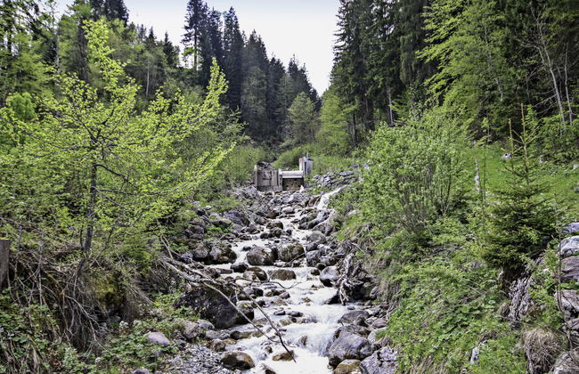 Mittagspitze - Foto 12