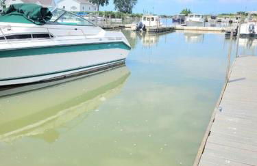 Sunnie Days condo in Oak Harbor on Lake Erie! - Foto 4