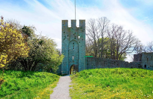 6 Person Holiday Home in Ljugarn-by Traum - Foto 33