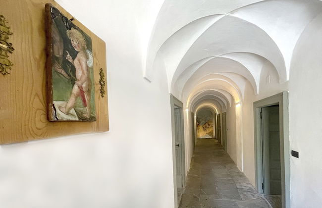 Roseto del Drago - Foto 68