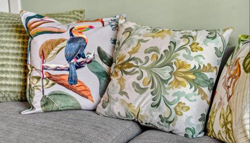 Windsor Jay - Photo 4