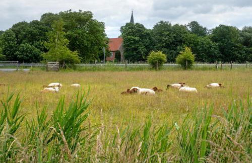 Ferienwohnung Jadebusen - Foto 23