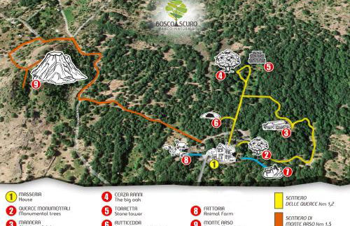 Boscoscuro - Foto 26