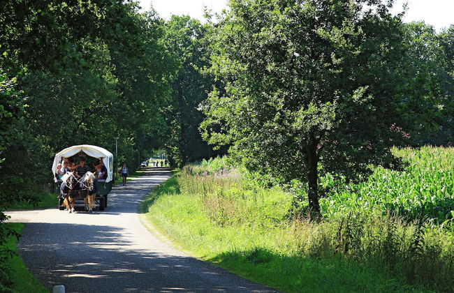 Atmospheric Bungalow in Exloo With Bicycles Available - Foto 23