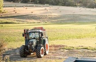 Domaine Paradis - Foto 8