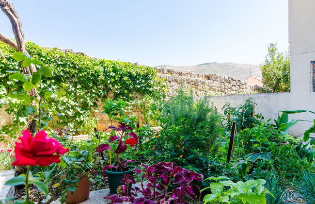 Apartment Lapad Gardin - Foto 21