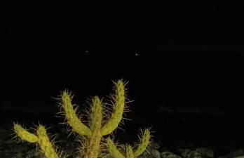 Matosinhos -Seas Apartment- Cabo das Marés - Foto 45