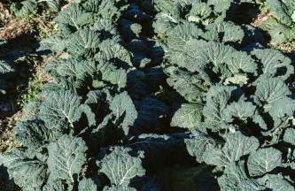 Agriturismo Il Canto delle rane - Photo 67