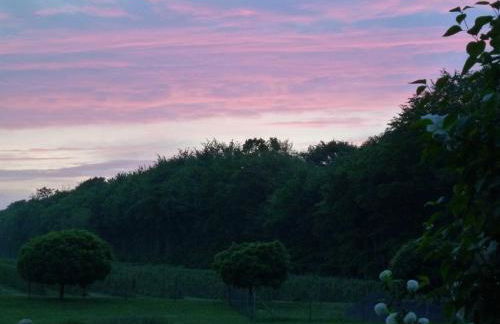 Ferienwohnung Am Walde - Photo 37