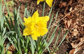 Ferienwohnung Nebenan - Foto 15