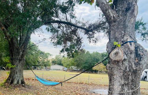 The Orchard Escape - Foto 31