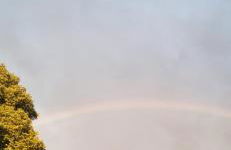 Ferienhaus an der Allee - Foto 37