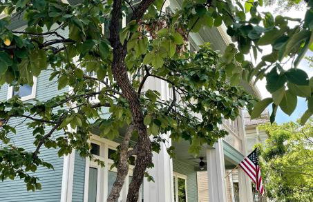 Riverwalk Pearl Zoo Museums Pool 5 BR 4 full and 1 half Baths - Foto 24