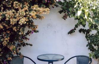 Jardim de Vénus - Foto 23