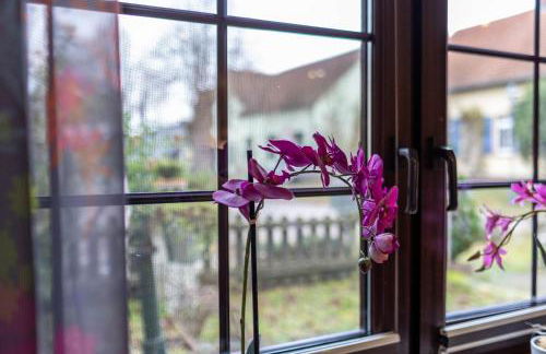 Ferienhaus Am Reiterhof - Photo 4