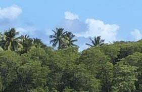 Barra Home stay 22 andar - Foto 23