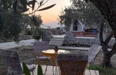 Sea and Garden House - Photo 2