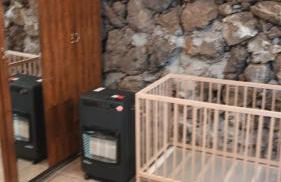 Ferienwohnung echt kanarisch mit Meer und Teide Blick La Vega Teneriffa Nord - Foto 9