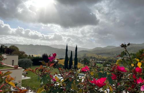 Incantevole Mugello - Foto 77