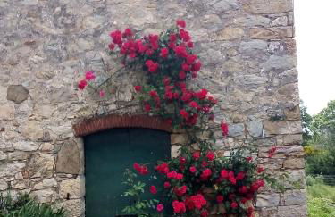 Magrignano - Foto 10