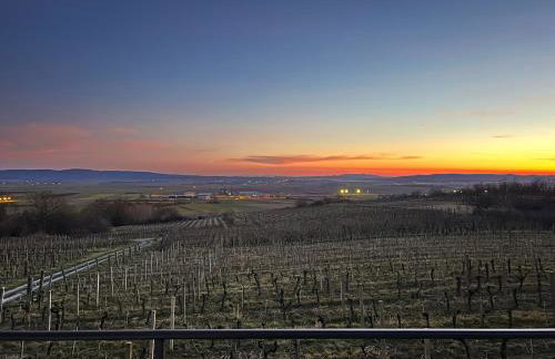 Kuća za odmor Baron - Foto 32