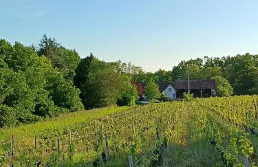 Gîte au milieu des vignes - Foto 1