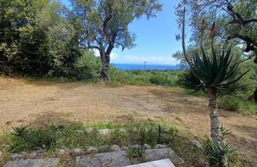 el paradiso - Foto 14