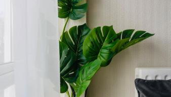 Sleek 2 Bedroom Apartment - Foto 5