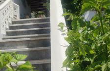 Krinelos Rooms - Photo 20